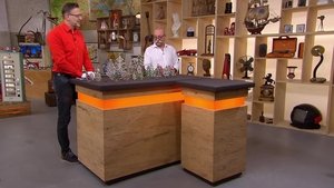 Bares für Rares: 12×213