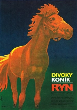 Poster Divoký koník Ryn 1982