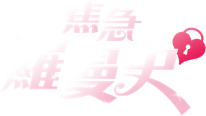 Mi Romance Secreto — Logos 6