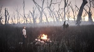 A Verdadeira História da Gangue de Ned Kelly