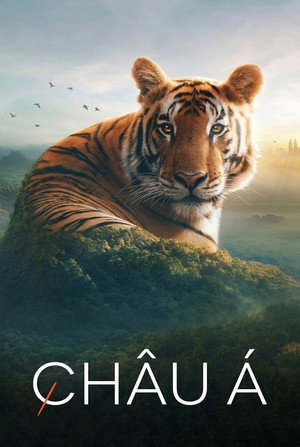 Image Châu Á