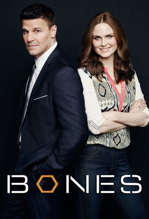 poster Bones