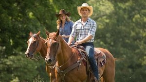 The Longest Ride