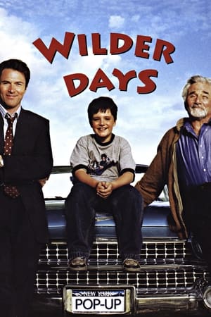 Poster Wilder Days (2003)