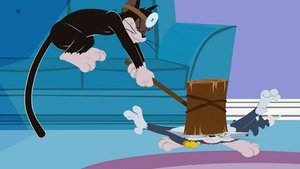 The Tom and Jerry Show Haunted Mouse