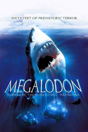 Poster Megalodon 2004