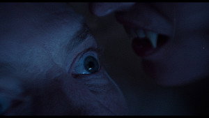 Dracula: The Night Around Us 20