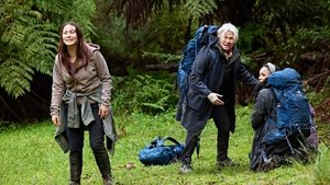 Force of Nature: The Dry 2 ( 2024 )