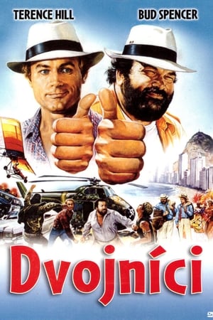 Poster Dvojníci 1984