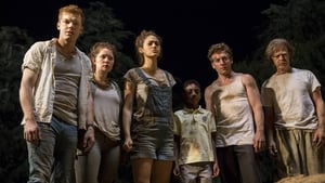 Shameless – Nicht ganz nüchtern: 8×3