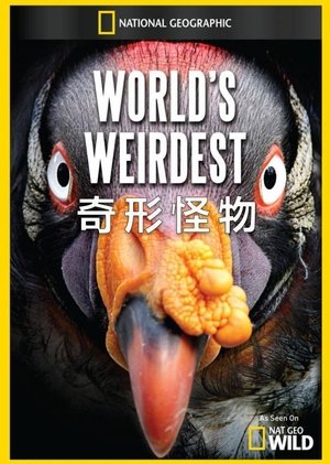 Image World's Weirdest