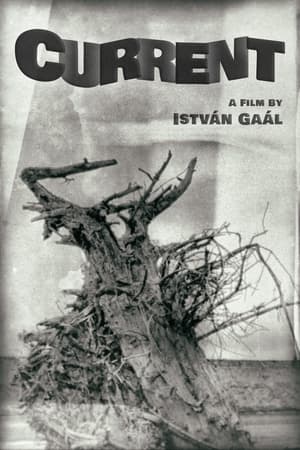 Poster Current (1964)