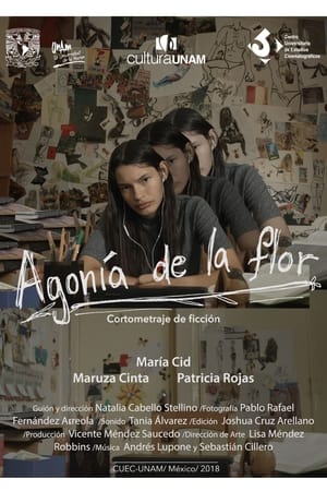 Poster Agonía de la flor 2018