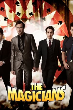 Poster The Magicians 2011