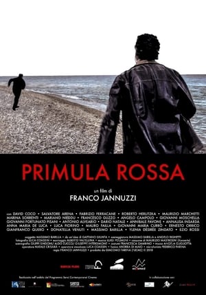 Poster Primula Rossa 2019