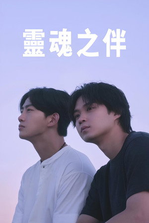 Image ソウルメイト