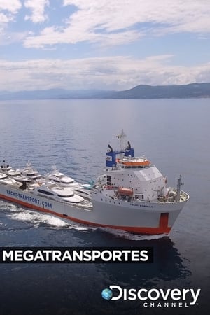 Megatransportes