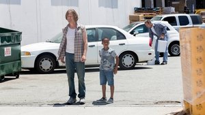 Shameless – Nicht ganz nüchtern: 7×2