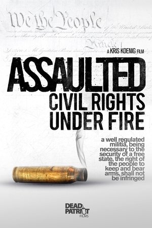 Image Assaulted: Civil Rights Under Fire