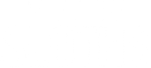 Meet the Sloths