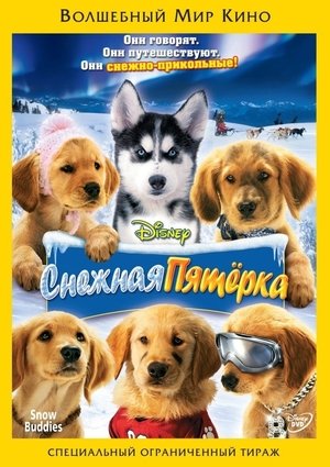 <Images posters