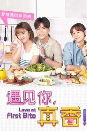 Love At First Bite 2022 Season 1 Hindi + Chinese WEB-DL 1080p 720p 480p x264 | Full Season