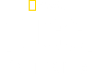 Tucci en Italia — Logos 1