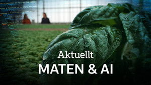 Episode 5 | StreamHub