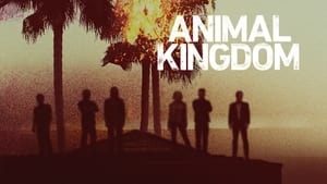 poster Animal Kingdom