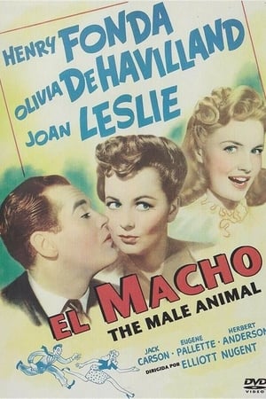 Poster El macho 1942