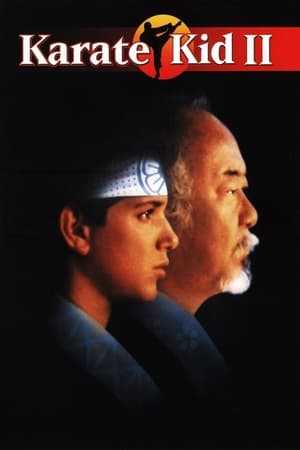 Poster Karate Kid II, la historia continúa 1986