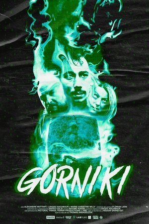 Poster Gorniki 2023