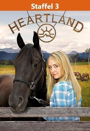 Heartland - Paradies für Pferde: Staffel 3