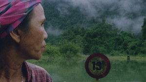 Hair, Paper, Water…