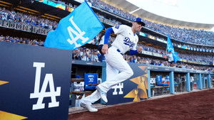 Fight for Glory: 2024 World Series: 1×1