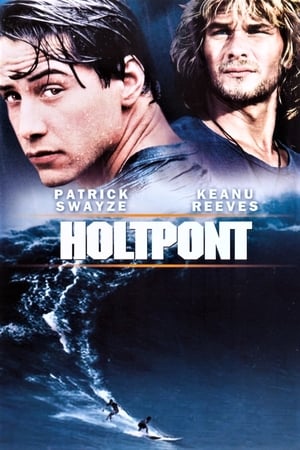 Poster Holtpont 1991