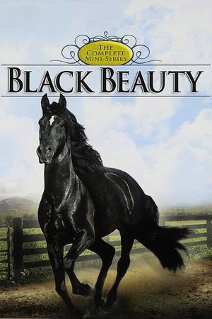 Black Beauty poster