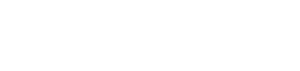 Ảnh 19