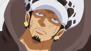 One Piece: Season 16 Episode 686