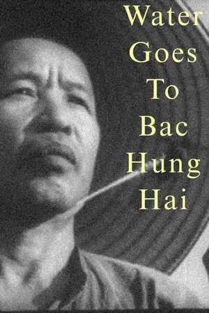 Water Goes to Bac Hung Hai