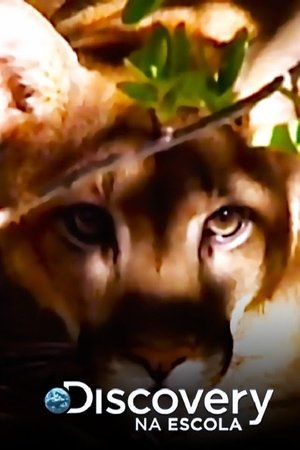 Discovery na Escola