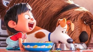 فلم كرتون الحياة السرية للحيوانات الأليفة 2 – The Secret Life of Pets 2 مدبلج