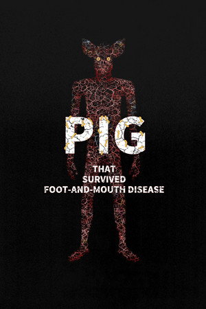 Pig That Survived Foot-and-Mouth Disease 7