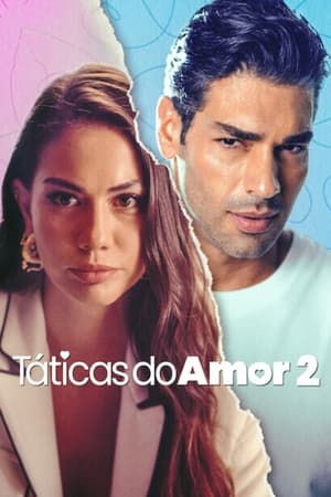 Táticas do Amor 2 - Poster