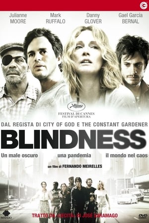 Poster Blindness - Cecità 2008