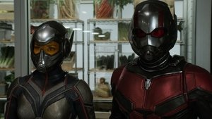Ant-Man and the Wasp (2018)