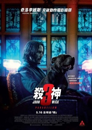 poster John Wick: Chapter 3 - Parabellum