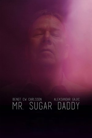 Poster Mr. Sugar Daddy 2016