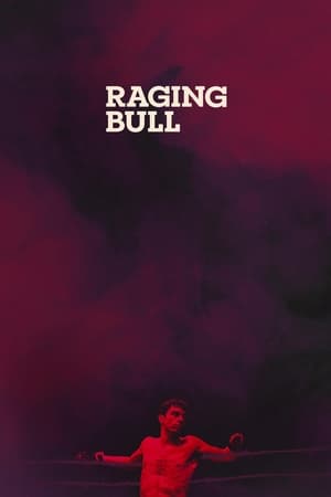 Image Raging Bull - Tyren fra Bronx