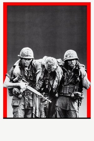 poster Platoon